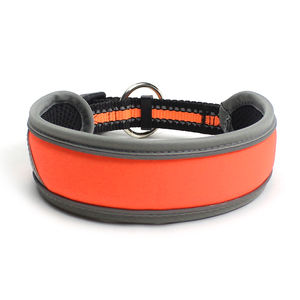 Großhandel Robustes Nylon-Hundehalsband für Schweres <span class=keywords><strong>Training</strong></span> - Product Image 5