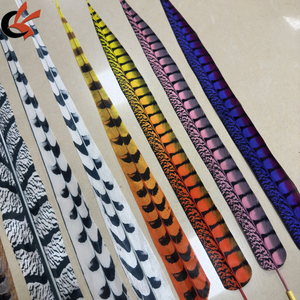 Màu Sắc Tùy Chỉnh Kích Thước Khác Nhau Thực Tế Thân Thiện Với Môi Trường Giá Rẻ Mô Phỏng Gà lôi Lông - Product Image 5