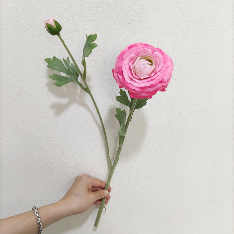 Pink 3