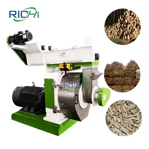 RICHI-Sierra de combustible de madera para polvo, paja de maíz, molino de granos de café, husillo de estireno de pollo, nuevo fabricante, en venta