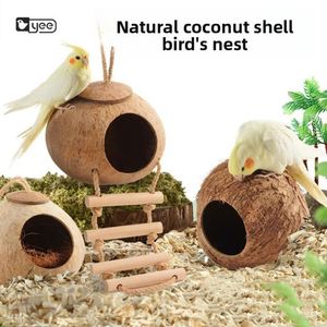 Nid d'oiseau en coquille de noix de coco, nid de perroquet, transfrontalier, Shandong, rond - Product Image 1