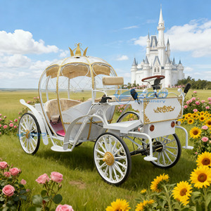 Carruaje de Boda Eléctrico de Lujo Estilo Princesa Cenicienta, Material de Acero, Transporte Especial - Product Image 3
