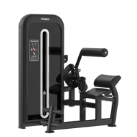 Équipement de gymnastique Utilisation commerciale Top Level Fitness Factory Direct Wholesale Lower Back