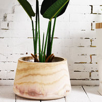 Décor intérieur Extérieur en bois Cactus Planteur Pot