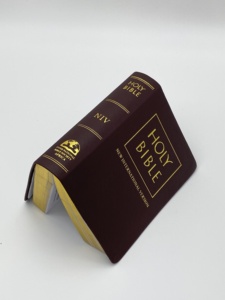 พระคัมภีร์ไบเบิลฉบับภาษาอังกฤษใหม่ - Product Image 4