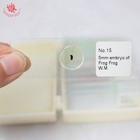 Frog Embryo Prepared Microscope Slides 28Items Microscope Prepared Teaching Slides With Wooden Case