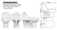 Cuvettes de WC monobloc en céramique à double chasse, à poser au sol, avec siphon intégré et chasse d'eau en céramique