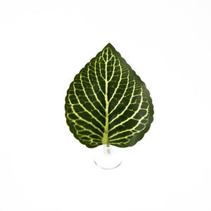 Aquarium Aquarium Aquarium Decoratie <span class=keywords><strong>Betta</strong></span> Splendens Rustbed Rustende Blad Paaien Blad Amfibie Reptiel Voederblad - Product Image 6