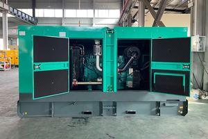 Groupe électrogène diesel d'auvent imperméable de 250KVA Weichai 200KW conteneur équipement de charge de secours de secours d'alimentation puissant - Product Image 3