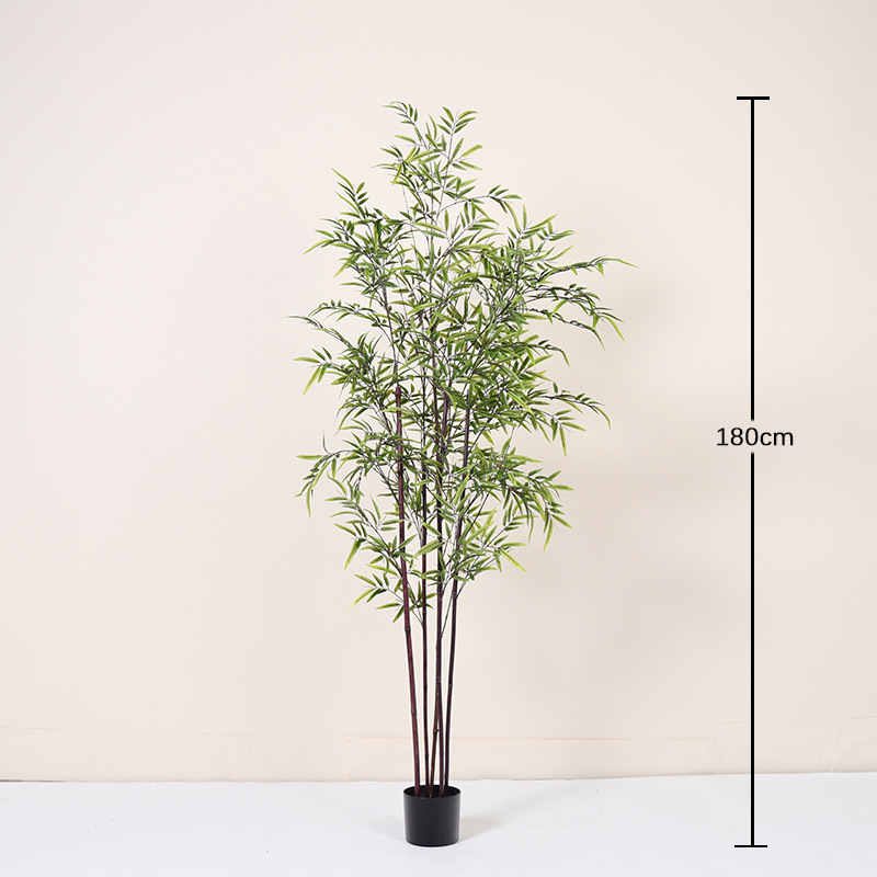 Bonsaï bambou violet 180CM