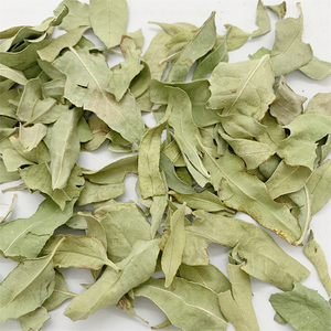 Luo Bu Ma Getrocknete Apocynum Venetum Blätter Kräuter-Blauweißblatt-Tee - Product Image 3