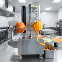 Commerciële roestvrijstalen fruit- en groenteschilmachine Automatische hoogrendementsmachine voor het verwijderen van aardappel- en wortelschillen, 500 kg/uur