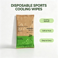 Lingettes rafraîchissantes jetables XL personnalisées avec logo thermoscellé pour le corps, lingettes humides non tissées pour l'hygiène sportive en extérieur