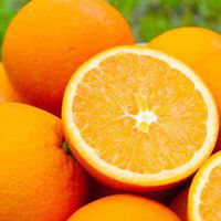 Jeruk Mandarin Segar Rasa Manis Pasokan Pabrik Buah Jeruk Jeruk Navel Segar Baru