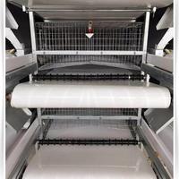 Système de convoyeur à bande PP pour l'équipement automatique des élevages avicoles, machine d'évacuation des déjections de poulets de chair pour le nettoyage des excréments de volaille