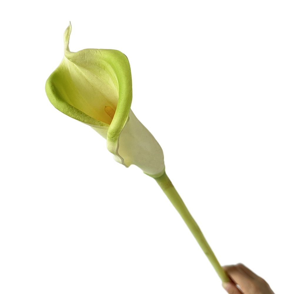 #5 Single pu large horseshoe tender green