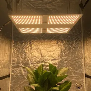 Panel de espectro completo regulable para invernadero interior, luz led de cultivo de plantas, personalizado, Sulight 288, 120W, 480W, 600W, envío directo