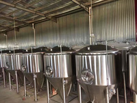 Cuve de fermentation conique de fermenteurs revêtus de bière d'acier inoxydable pour