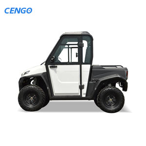 Сельскохозяйственный двухместный электрический внедорожник Cengo 4WD с закрытой кабиной, запас хода 70-90 км, сертификаты CE/GCC/<span class=keywords><strong>Eec</strong></span>, литиевая батарея, скорость 30-50 км/ч - Product Image 6