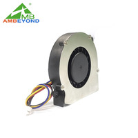 Ventilateur soufflant DC résistant aux températures 5010 5V 12V 24V pour petits équipements d'atomisation domestiques