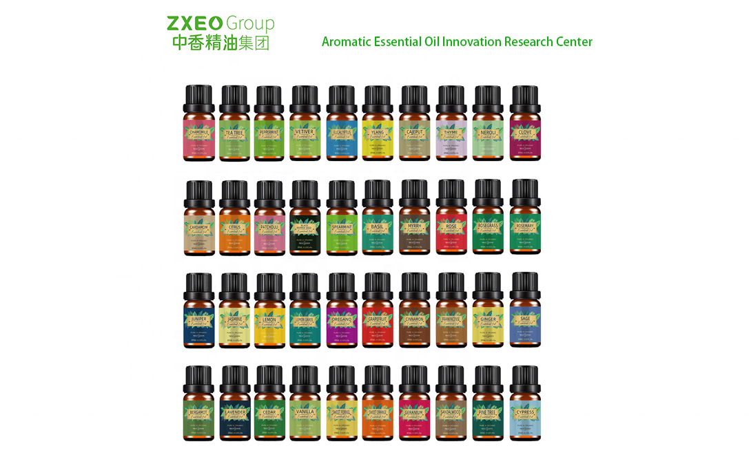 一  日  一  生 Adidas ZX 8000 