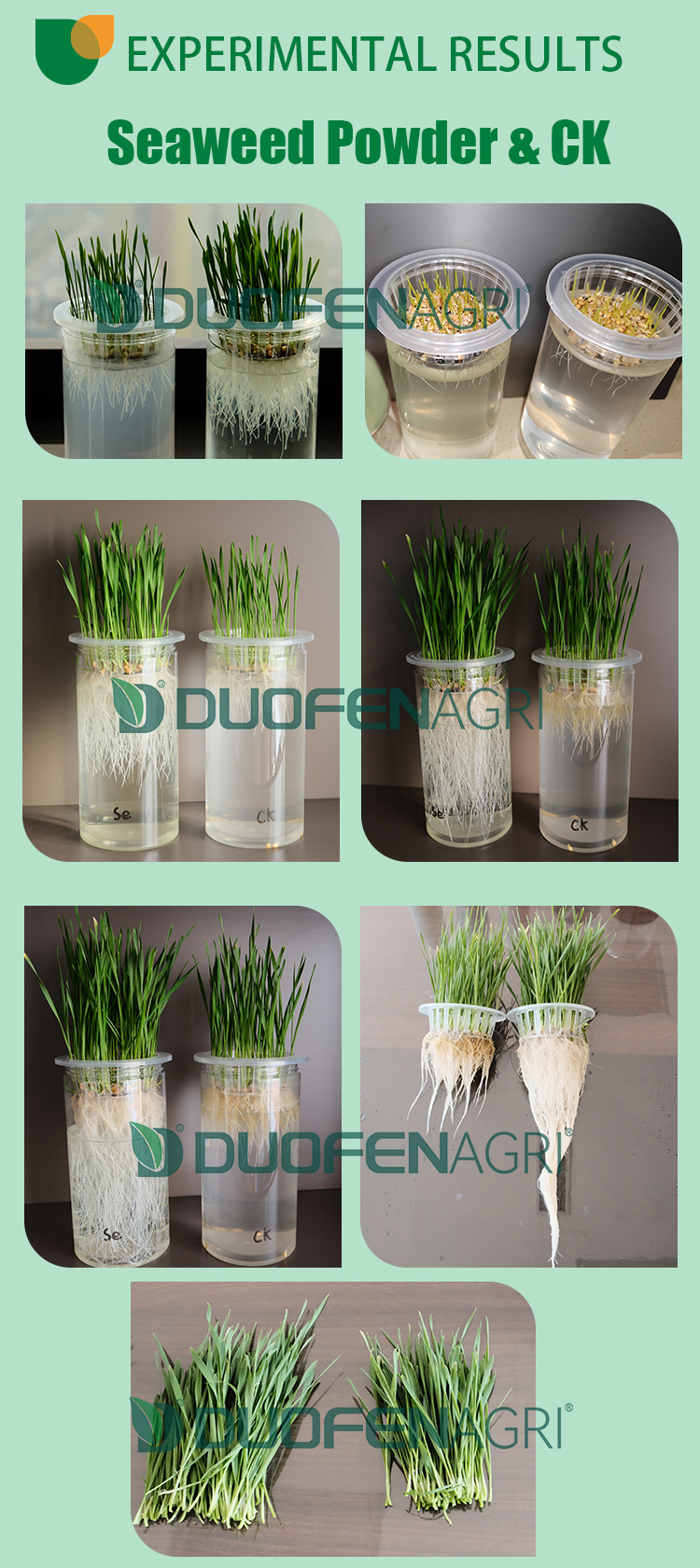 Liquid Potassium Humate Fertilizer Manufacturer | 100% Water Soluble image 6