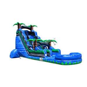 Petit toboggan aquatique gonflable commercial, toboggan aquatique gonflable d'extérieur, gonflable pour adultes, qualité commerciale personnalisée avec souffleur - Product Image 3
