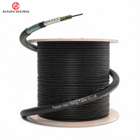 Câble à fibre optique Hao Cheng GYTA53 monomode G652D/G655, blindage en ruban d'acier enterré, entièrement étanche