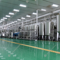 Ligne de production de jus de fruits entièrement automatique industrielle complète pour usine de transformation
