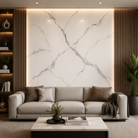 Panneau mural intérieur en composite bois-plastique UV haute brillance, motif marbre géométrique, étanche, pour usage domestique, 1220*2440mm, fourni directement par l'usine