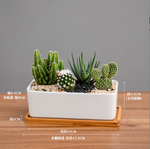 Mini <span class=keywords><strong>pot</strong></span> de fleur succulente en céramique blanche et outils de plantation <span class=keywords><strong>pot</strong></span> <span class=keywords><strong>rectangulaire</strong></span> simple avec plateau en <span class=keywords><strong>bambou</strong></span> - Product Image 6