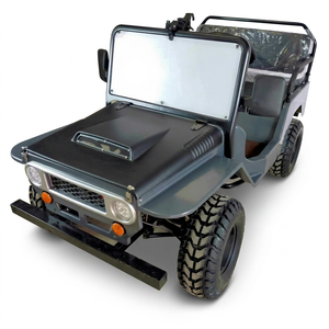 Zhenda Mini Jeep New Buggy, Voitures de Luxe à Essence avec Garantie de 2 Ans pour Adultes, Transport Spécial à Vendre - Product Image 1
