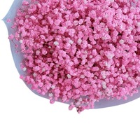 Bunga Gypsophila Awetan Grosir 70 cm, Bunga Baby Breath Warna-warni, DIY, Hadiah Pernikahan, Dekorasi Rumah, Perlengkapan Pemotretan