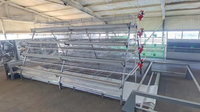 Cages Cages de type A pour poules pondeuses Cages pour poules pondeuses pour fermes
