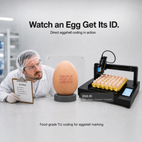 Máquina Codificadora de Huevos Automática Docod XE02E, Impresora de Huevos con Eje XY para Impresión de Fecha, Lote, Código QR y Trazabilidad