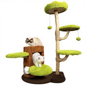 Plataforma <span class=keywords><strong>de</strong></span> Salto Compacta Todo en Uno <span class=keywords><strong>de</strong></span> Madera Maciza para Gatos, con Sistema <span class=keywords><strong>de</strong></span> Agujeros <span class=keywords><strong>de</strong></span> Juguete y Plataforma <span class=keywords><strong>de</strong></span> Sisal, Ideal para Bebés - Product Image 1