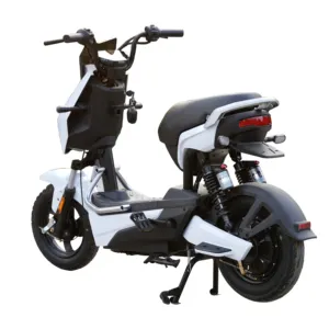 Wholesale Supplier 2 Persons E Adult City Bike Bikes New 48V 350W Scooter Electric Bicycle