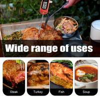 Grands cadeaux de barbecue pour les anniversaires-Thermomètre à viande en plastique à lecture instantanée pour la cuisson des grillades Air Fryer Kitchen Essentials