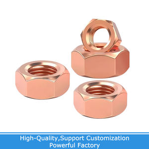 M3 M4 M5 M6 M8 M10 M14 M16 T2 구리 육각 너트 레드 구리 너트 전도성 너트 와셔 잠금 나사 캡 순수 구리 - Product Image 4