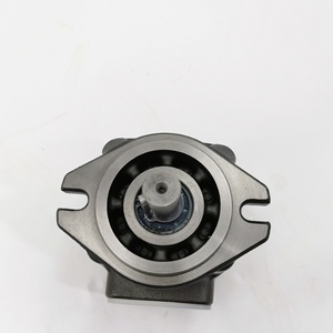 Pompe à engrenages interne CPO-16-P-10R CP0 HG0 CP1 CP2 CPO HG1 HG2 Pompe à huile hydraulique haute pression CP1-25-P-10R-36 Série CPO CP1 CP - Product Image 5