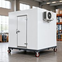 Contenedor Refrigerado Portátil, Unidad de Congelación, Compresor Solar para Carne, Pescado, Verduras y Frutas