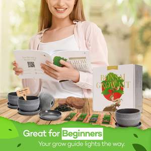 Promotion Kit Complet <span class=keywords><strong>de</strong></span> Bonsaï Biologique, Kit <span class=keywords><strong>de</strong></span> Démarrage <span class=keywords><strong>de</strong></span> Bonsaï, Jardin Intérieur, Kit <span class=keywords><strong>de</strong></span> Démarrage <span class=keywords><strong>de</strong></span> Jardinage, Cadeaux <span class=keywords><strong>de</strong></span> Jardinage <span class=keywords><strong>pour</strong></span> Femmes et Hommes - Product Image 6