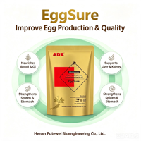 EggSure Complément Alimentaire Multi-Herbes pour Volailles : Améliore l'Utilisation des Nutriments, Renforce l'Immunité, Réduit la Mortalité pour les Poules Pondeuses