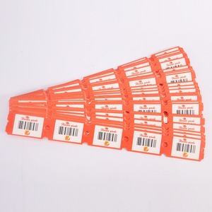 Biglietti di Raffle personalizzati per il gioco Arcade - Product Image 3
