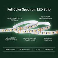 Bande LED Vh Lighting nouvelle génération RGBW 1200K-12000K SMD3838 CRI 95, 24V RGBW RGBWW, puce LED 4-en-1, 96 LED/m