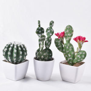 Piante artificiali Mini <span class=keywords><strong>Cactus</strong></span> miste ad alta simulazione verde esterno vero tocco - Product Image 2