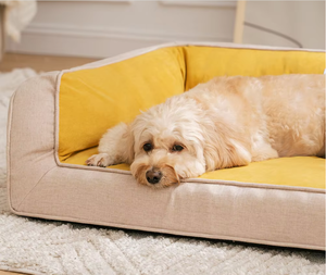 맞춤형 메모리 폼 개 침대 전체 지원 정형 소파 베드 이동식 빨 벨벳 커버 솔리드 패션-클래식 애완 동물 침대 - Product Image 2