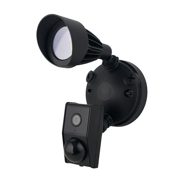 New Design 1080P Wifi Network Outdoor Security Light Floodlight Camera With Floodlight and Alarm