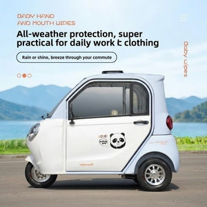 Triciclo Elettrico Completamente Chiuso, per Uso Domestico, Trasporto Donna e Bambini, Veicolo Elettrico - Product Image 3