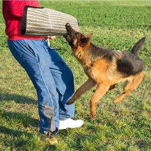 Protector <span class=keywords><strong>de</strong></span> Brazo <span class=keywords><strong>de</strong></span> Yute Resistente para Entrenamiento Profesional <span class=keywords><strong>de</strong></span> Perros, Protector <span class=keywords><strong>de</strong></span> Brazo para Entrenamiento Canino - Product Image 6